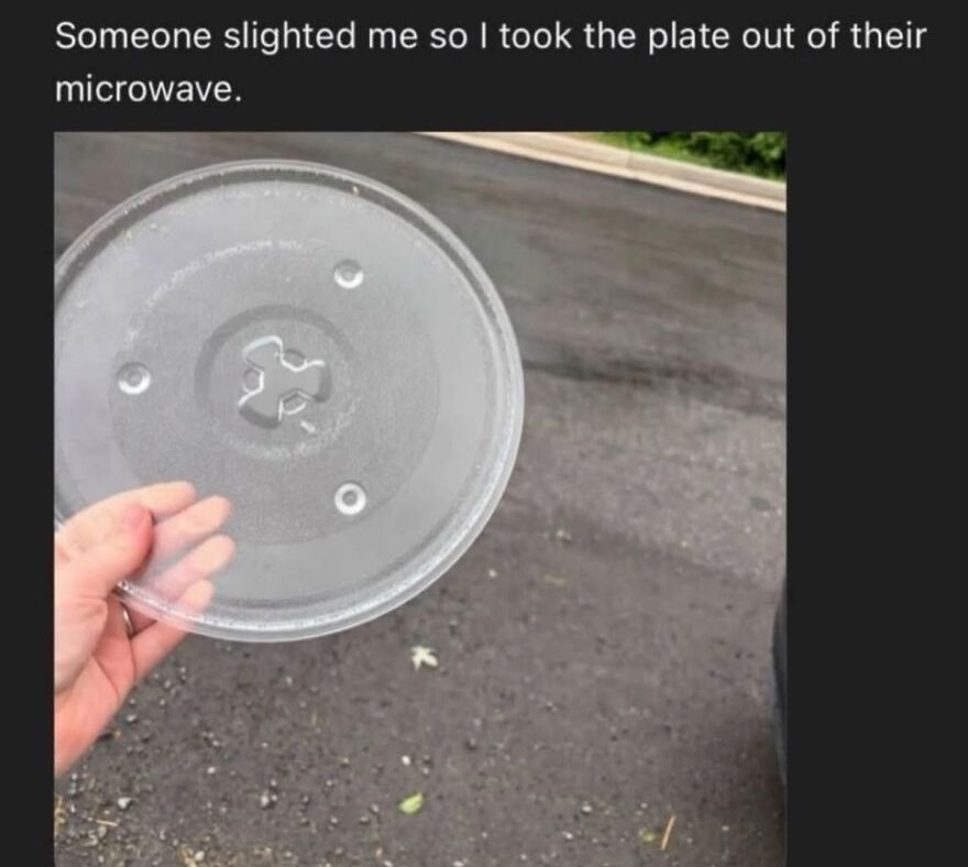 A hilariously unhinged screenshot of someone holding a microwave plate, stating 'Someone slighted me so I took the plate out of their microwave'.