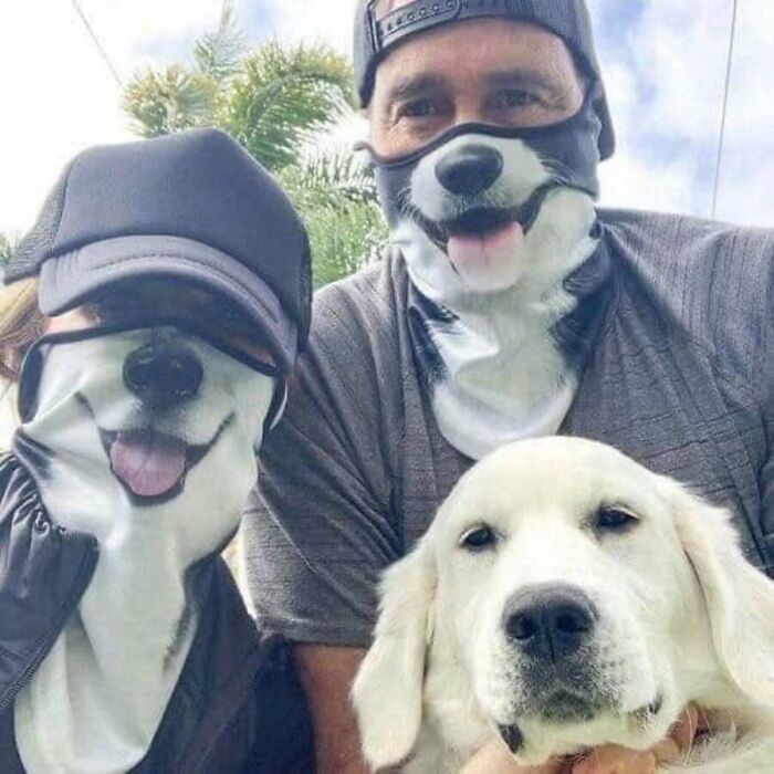Adorable animal photos: Two people wearing dog-faced masks pose with a real golden retriever, an amusing animal photo.