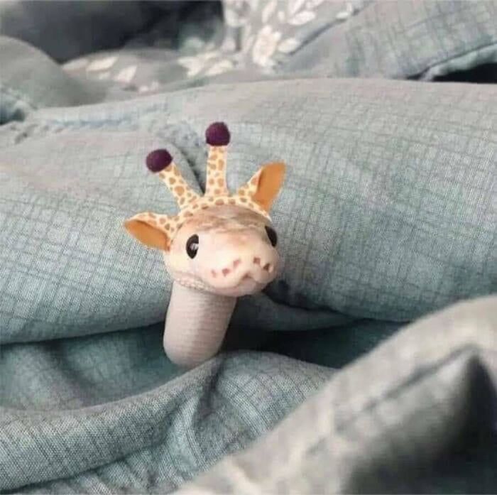Adorable animal photo: a small snake wearing a giraffe hat, peeking out from under a gray blanket, looking cute and absurd.