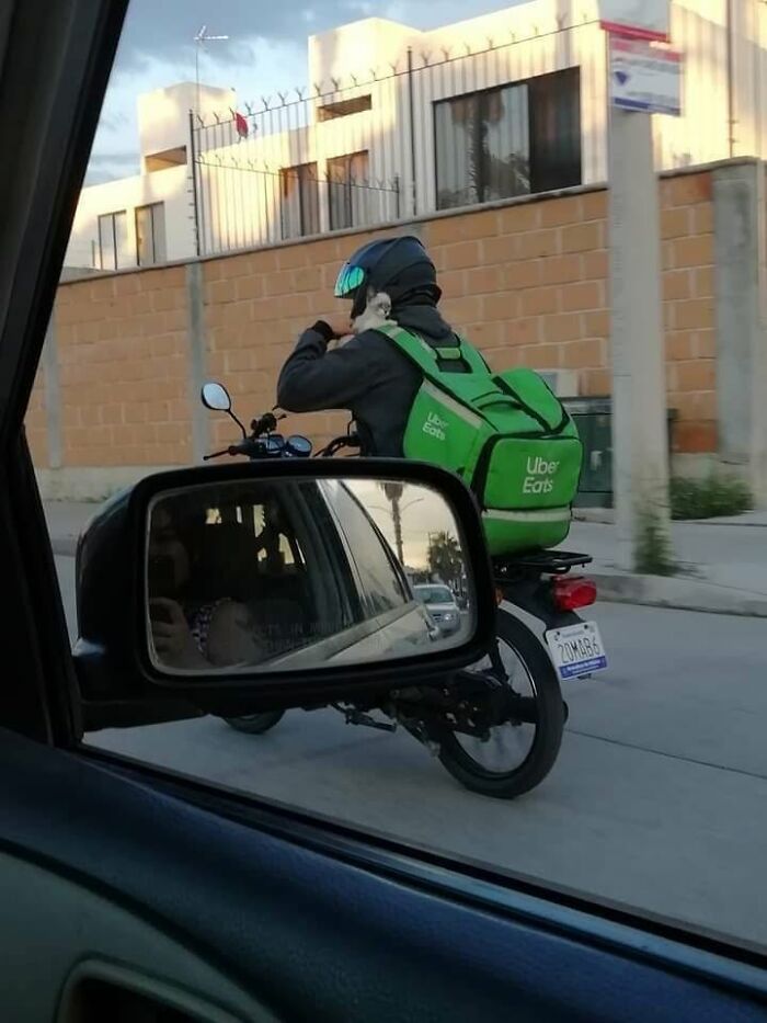 A cat peeking out of an Uber Eats delivery backpack, a hilarious cat moment caught on camera.