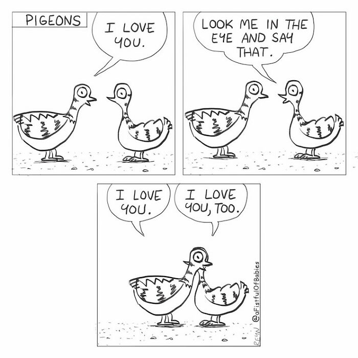 Absurdly funny cartoons of two pigeons expressing their love, highlighting everyday life in a comical manner.