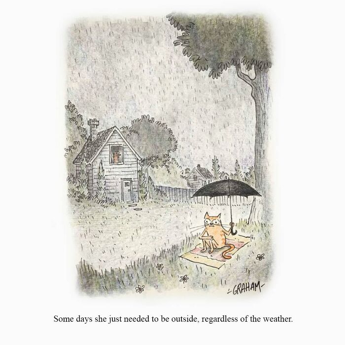 Weird cat comics: A cat sits on a blanket under an umbrella in the rain outside a house.