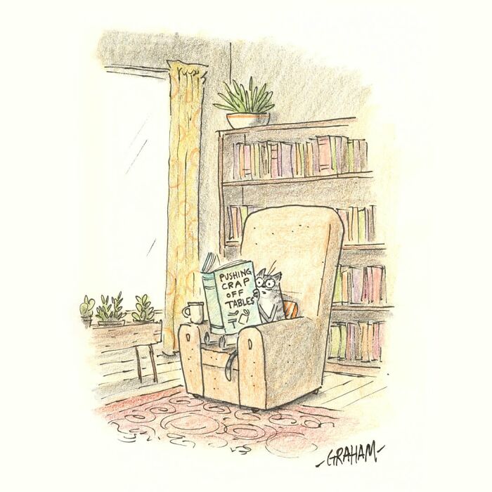 Cat reading book about pushing stuff off tables in cozy room cat comics