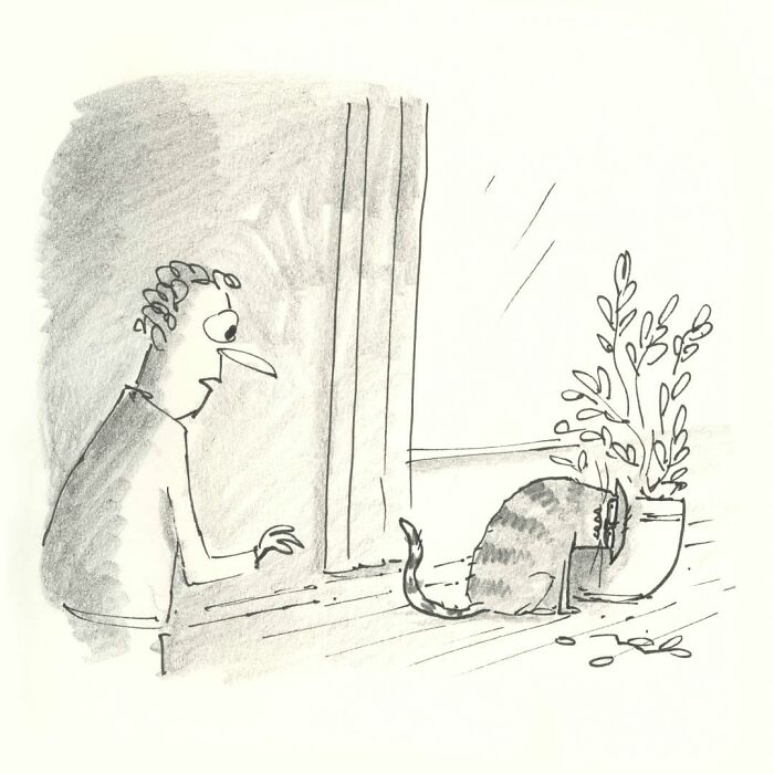 A cat comic of a person looking surprised at a cat knocking over a plant on a windowsill.