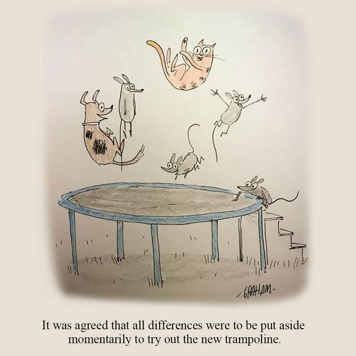 A delightfully weird cat comic showing a cat, dogs, and mice happily jumping on a trampoline.