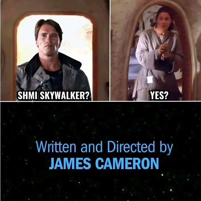 A meme with Arnold Schwarzenegger and Shmi Skywalker, attributing it to James Cameron, from the superior 80s and 90s.