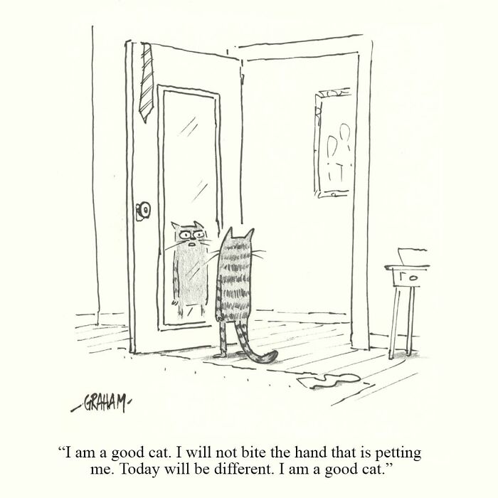 A delightfully weird cat comic illustrating a cat looking in a mirror, vowing to be a good cat.