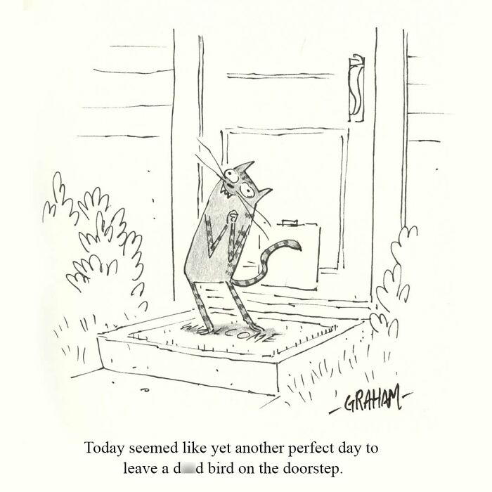 A delightfully weird cat comic showing a surprised cat standing on a doorstep, having left a d**d bird.