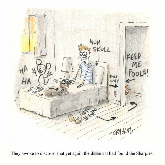 Weird cat comics: a man wakes up to a room covered in cat graffiti, with a dog on the bed and a cat peeking from the doorway.
