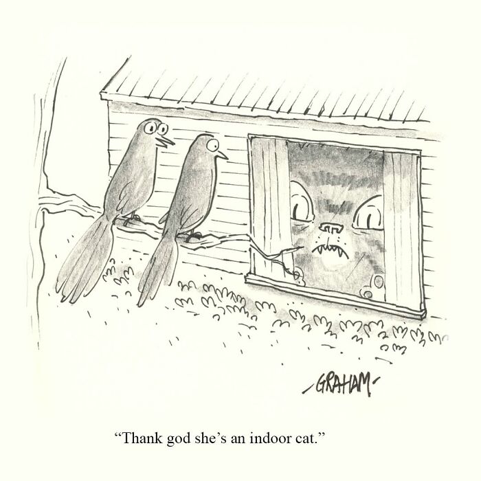 Weird cat comics: two birds on a branch look at a menacing cat peering through a window with curtains.