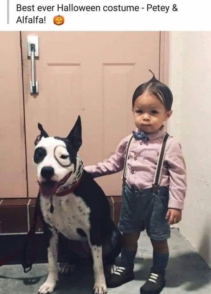 Funny dog meme: A child and a dog dressed in matching Petey and Alfalfa Halloween costumes.