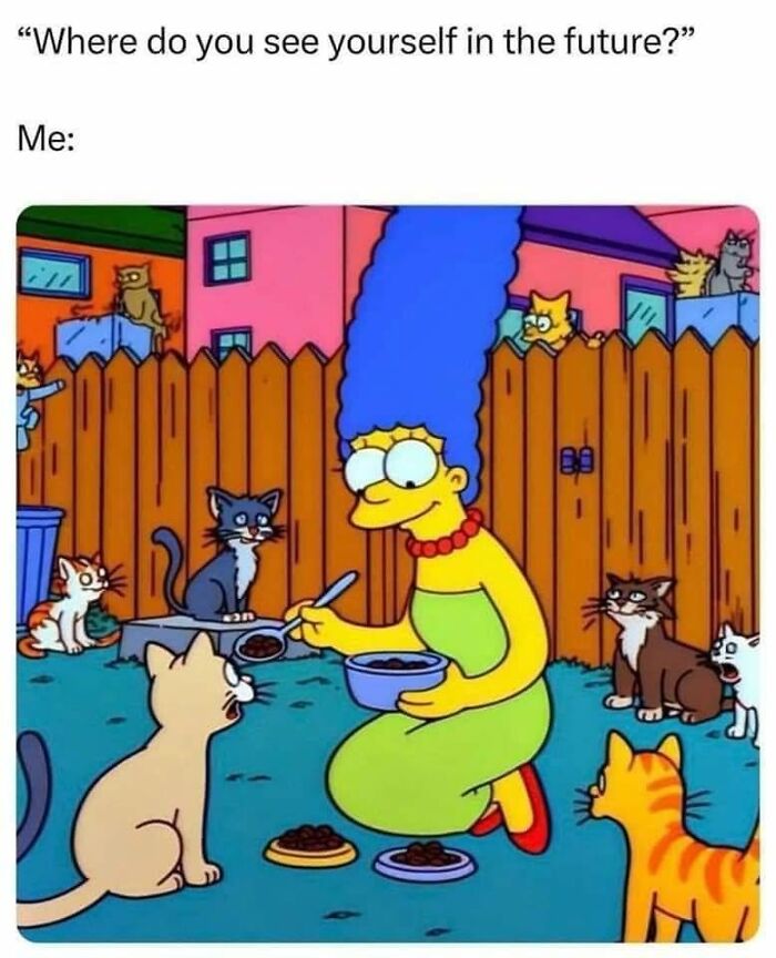 50 Cat Memes That Perfectly Capture Why Living With Cats Is Equal Parts Chaos And Comedy