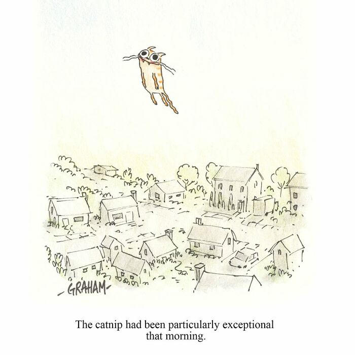A comic depicting a flying cat over a town, illustrating the effects of catnip in a weird cat comic.