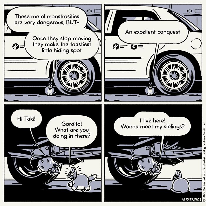 A comic imagines cats with jobs, one cat hides under a car, inviting another cat to meet its siblings.