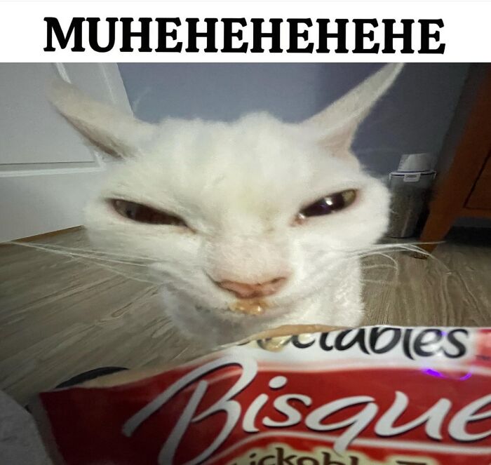 A Devon Rex cat looks mischievously at the camera with food on its mouth, beside a snack bag, radiating pure serotonin.