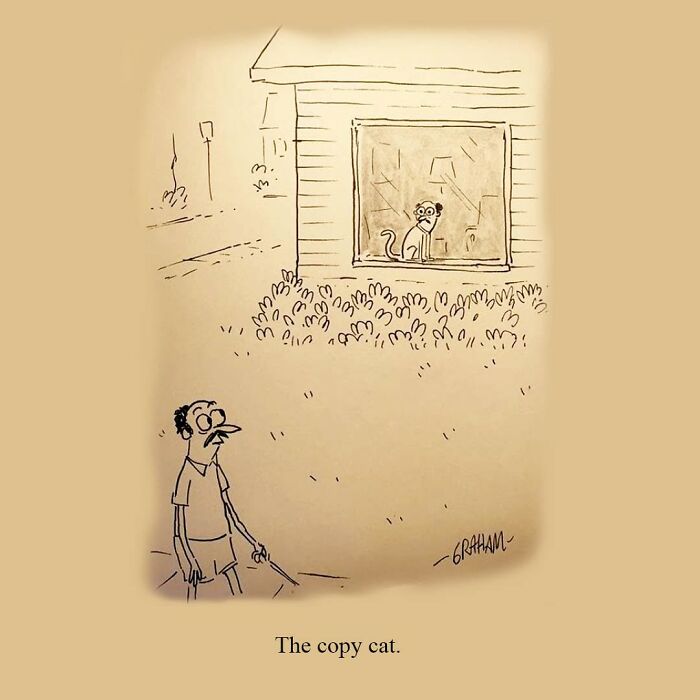 A cat comic shows a man looking at a cat in a window that mimics his pose, titled The copy cat.