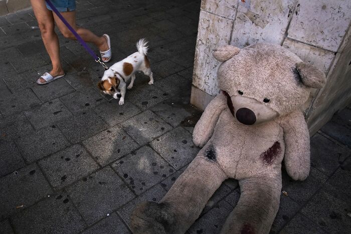 This Photographer Roams The Streets Looking For Unforgettable Dog Moments, And Here Are 50 Of His Best Finds