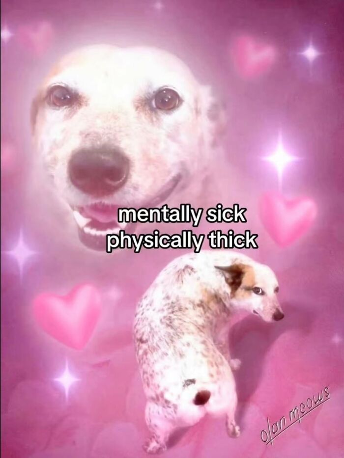 A funny and relatable meme featuring two dogs on a pink, heart-filled background with text 'mentally sick, physically thick'.