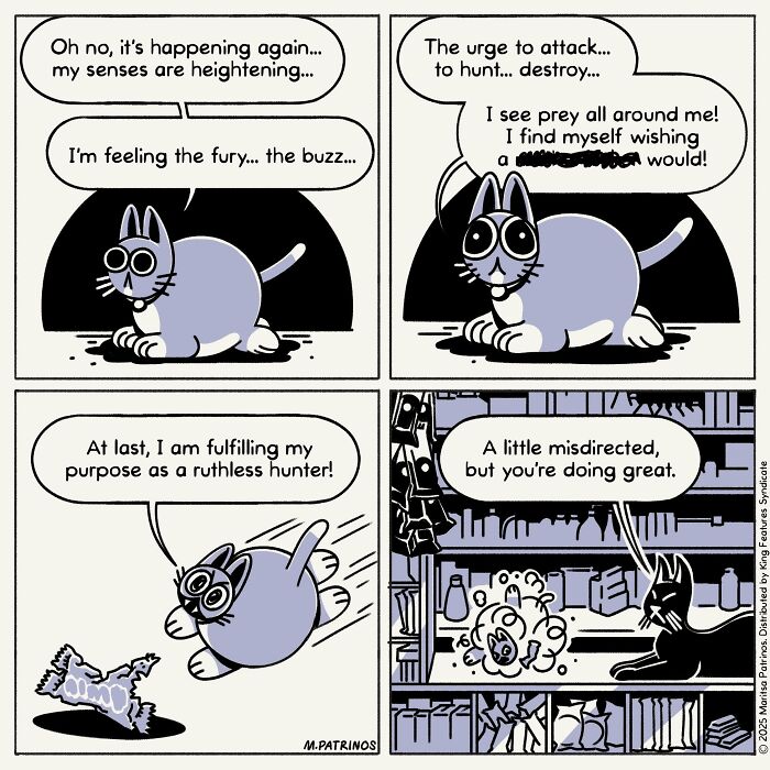 Cartoonist imagines cats with jobs, a cat experiencing heightened senses and hunting urges, attacking an unseen toy.