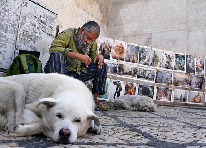 This Photographer Roams The Streets Looking For Unforgettable Dog Moments, And Here Are 50 Of His Best Finds