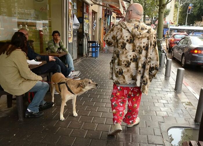 This Photographer Roams The Streets Looking For Unforgettable Dog Moments, And Here Are 50 Of His Best Finds