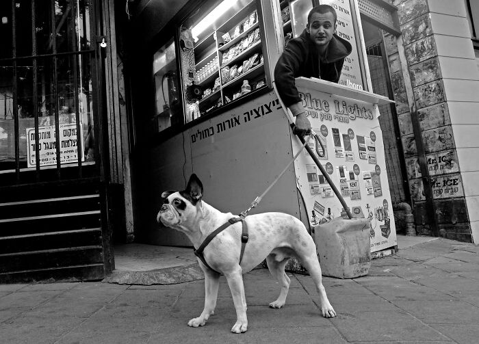 This Photographer Roams The Streets Looking For Unforgettable Dog Moments, And Here Are 50 Of His Best Finds