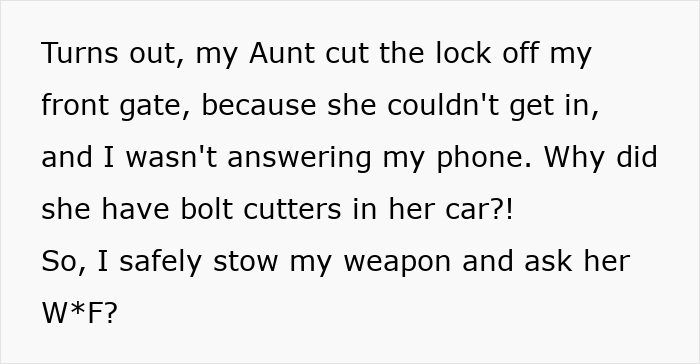 Text explaining how Aunt cut the lock off front gate with bolt cutters, demanding housing.