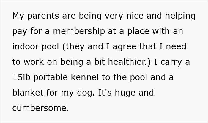 A screenshot of text about a sibling carrying a portable kennel and blanket for their service dog to the pool.