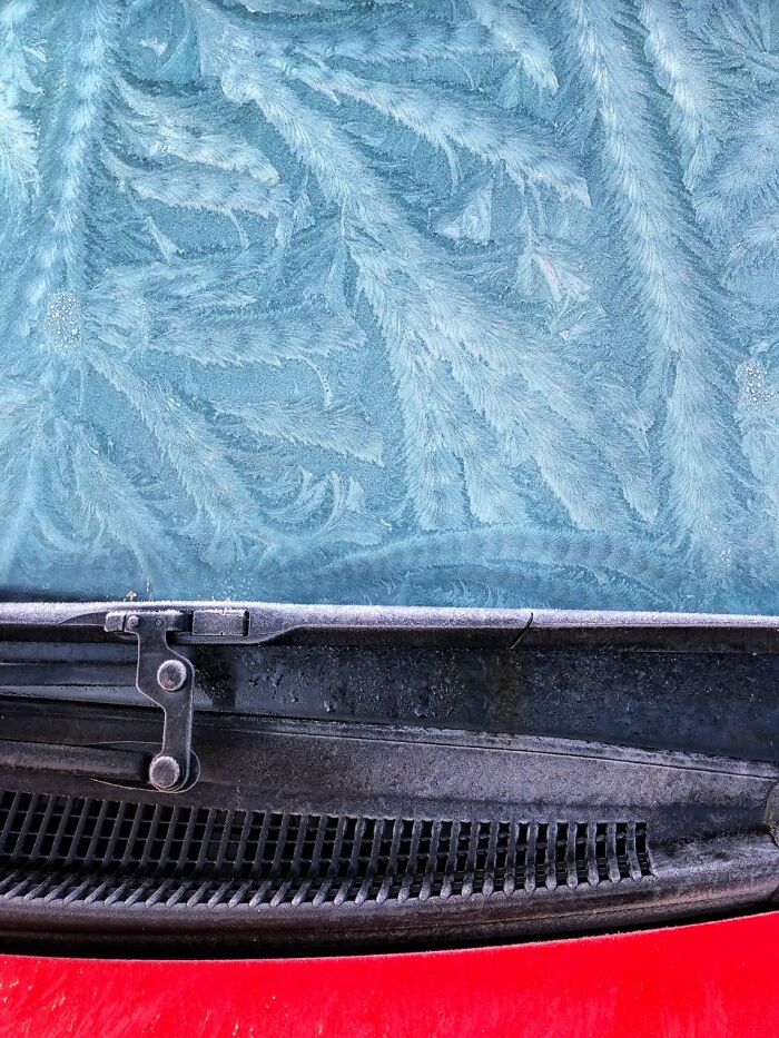 Close-up of frost patterns on a car windshield in iPhone photography awards