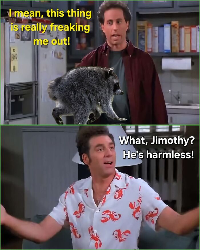 A meme featuring the unusually shaped raccoon named Jimothy with Jerry Seinfeld and Kramer, expressing fear and dismissal.