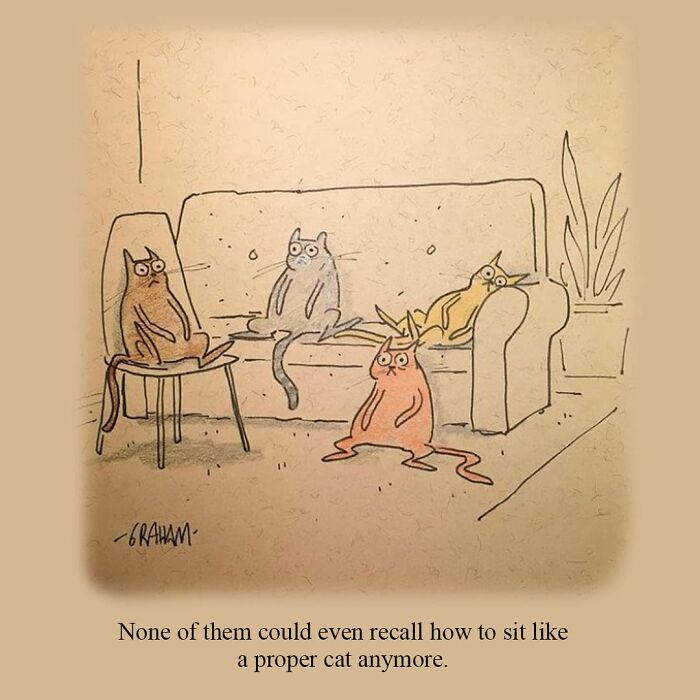 Weird cat comics: Four cats are in a living room, sitting in awkward, human-like positions on a sofa and chair.