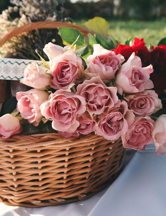A wicker basket filled with pink roses, symbolizing partners and their relationships.