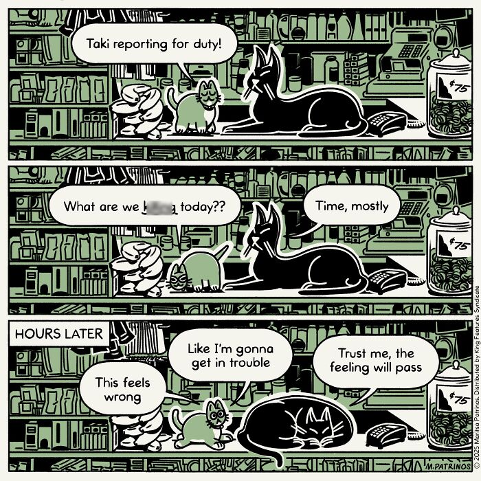 Cartoonist imagines cats with jobs: A small cat reporting for duty to a larger cat at a store, showing the mundane reality.