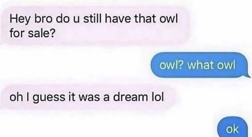 A text message conversation where someone asks about an owl for sale and then realizes it was a dream, a hilariously unhinged screenshot.