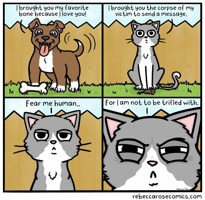 Rebecca Rose comics showing a dog with a bone and a cat with a d**d mouse, comparing their gifts.