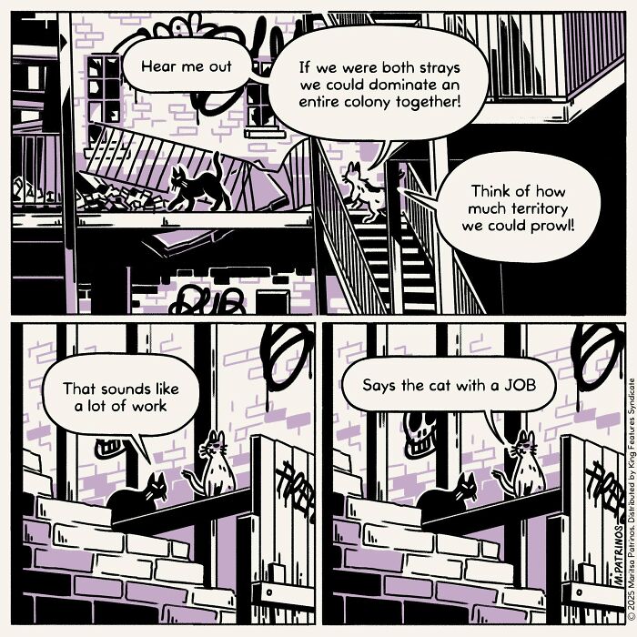 Cartoonist imagines cats with jobs, a stray cat proposing to another to dominate a colony together.