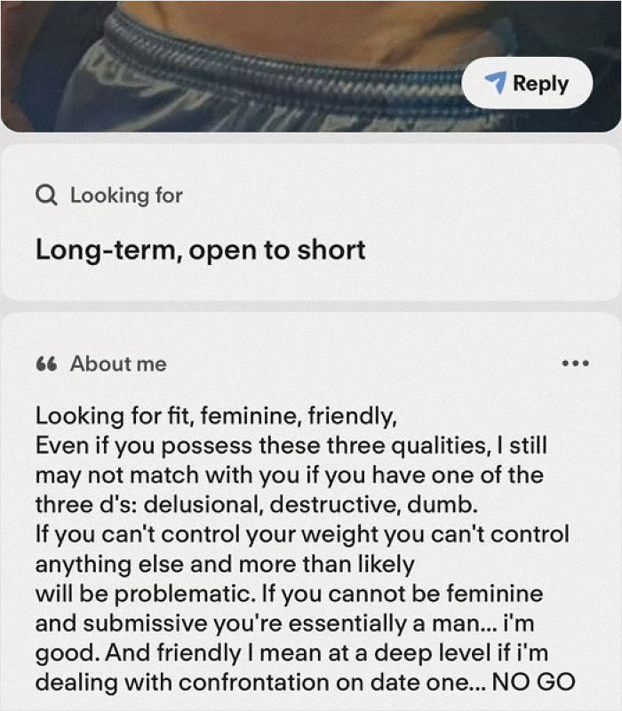 A dating profile of a guy with extremely high standards, classifying women as delusional, destructive, or dumb, a funny example of guys.
