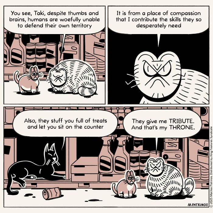 Cartoonist imagines cats with jobs, a grumpy cat on a counter explaining human inability to defend territory.