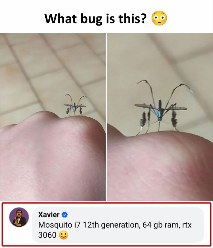 A meme showing a magnified mosquito on a finger, with a humorous comment by Xavier about the bug.