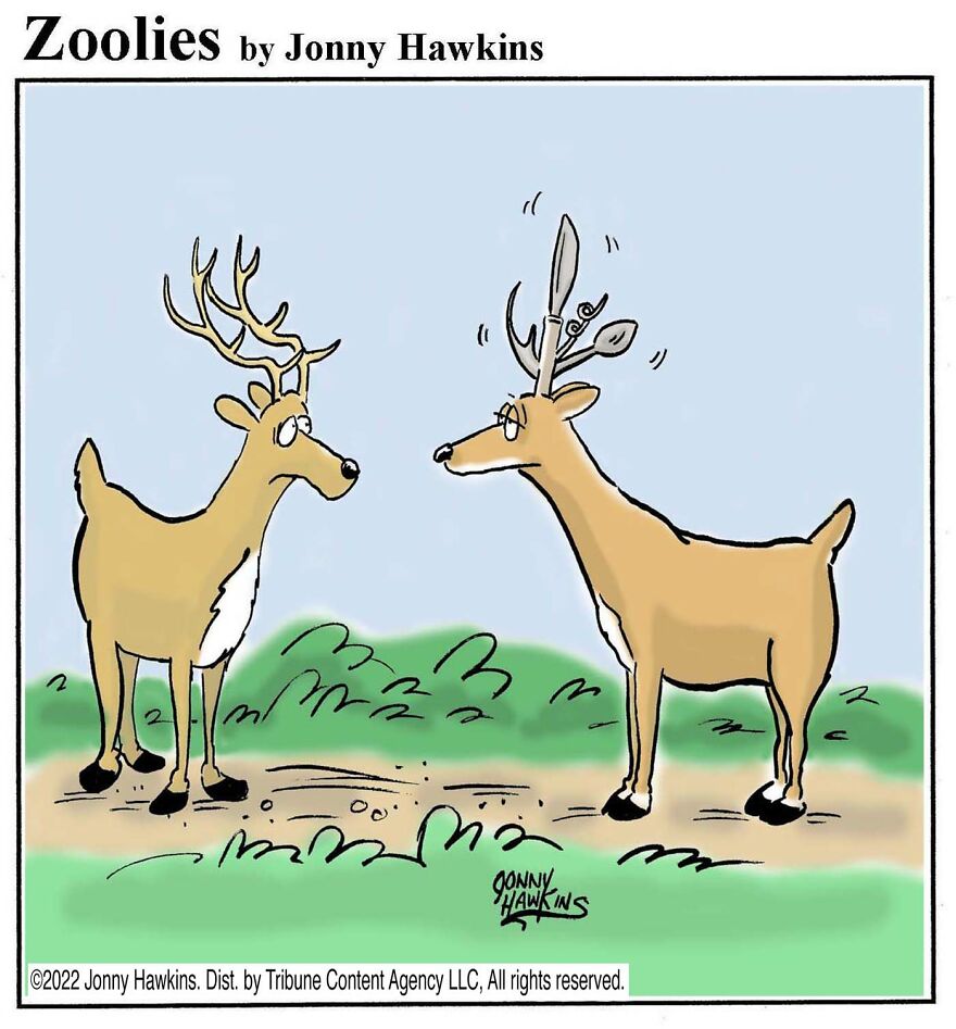 Swiss Antlers