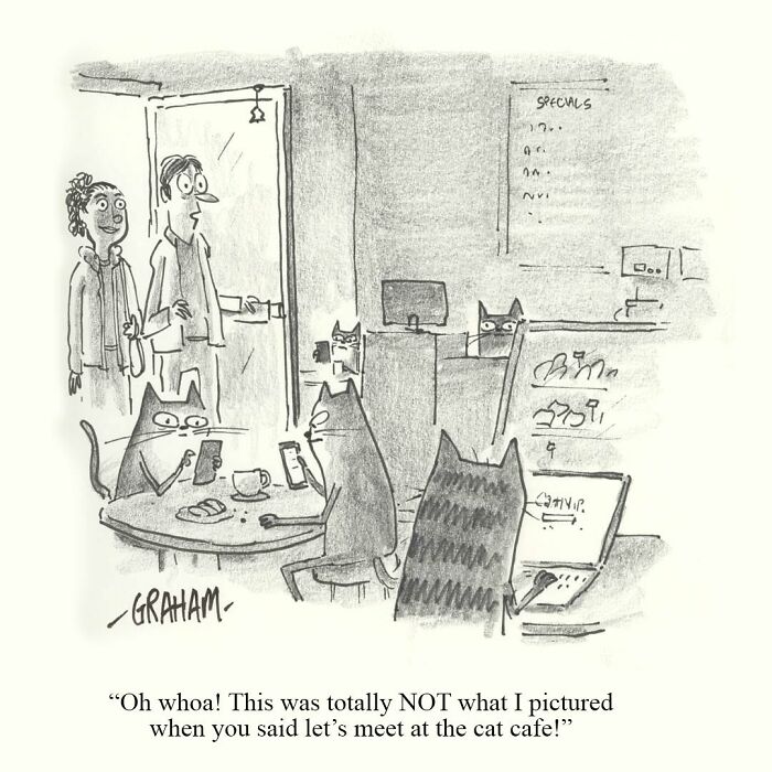 A delightfully weird cat comic depicting a cafe full of cats with humans looking surprised, perfectly capturing why felines rule.