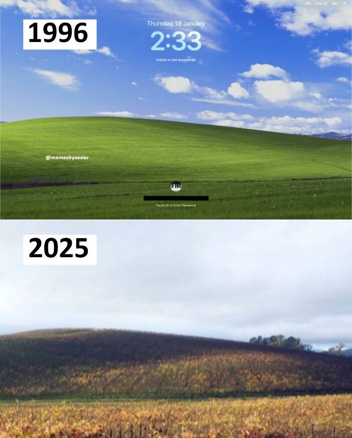 Hilarious post by Xavier contrasting the iconic green hill of Windows XP in 1996 with a dry, autumn-like hill in 2025.