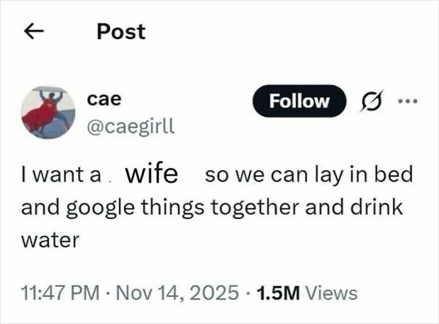 A hilarious unhinged screenshot of a tweet about wanting a wife to google things and drink water.