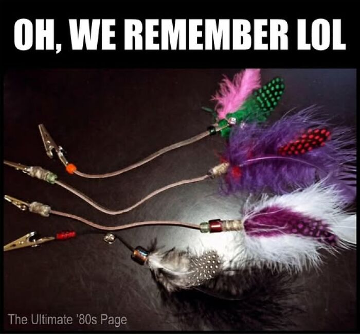 Gen X meme displaying feather hair extensions, a popular accessory from the 80s.