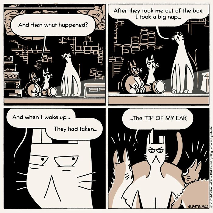 Cartoonist imagines cats with jobs: a cat shares a dramatic story of losing an ear tip after a nap with other cats.