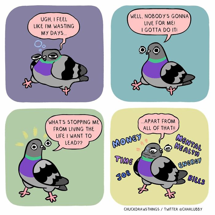 50 New Comics That Perfectly Capture What Anxiety Feels Like, Starring An Unexpected Hero: A Pigeon