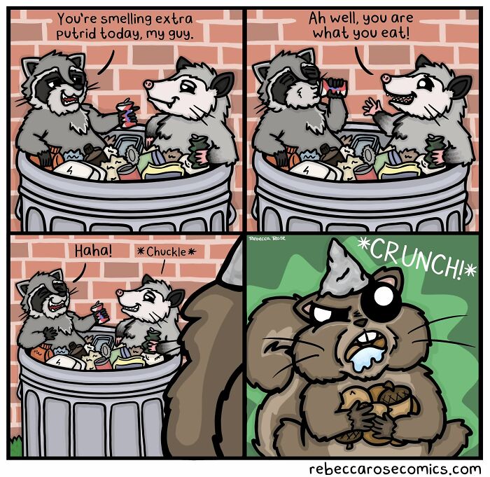 Rebecca Rose comics: Two raccoons laugh about smelling putrid, then a squirrel with big teeth crunches nuts.