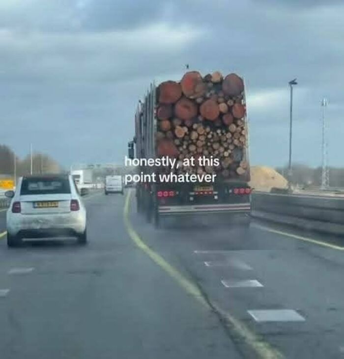 A large truck carrying logs on a highway, with text that reads honestly, at this point whatever, a Gen X meme.