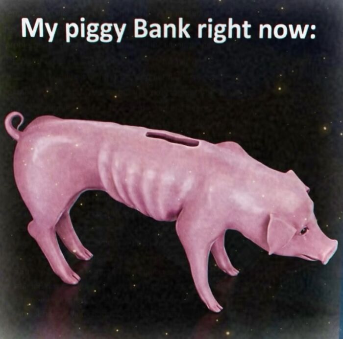 A relatable meme depicting a very thin, empty piggy bank, perfect for boosting morale through shared humor.