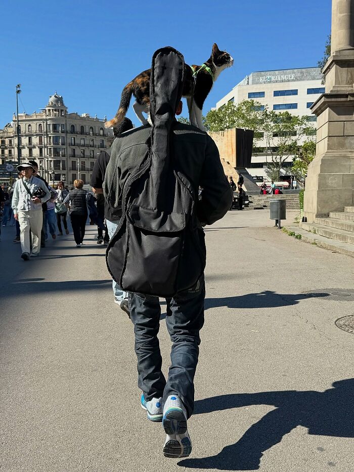 Photographer captures perfectly timed coincidences of a cat riding a person's shoulders in Barcelona.